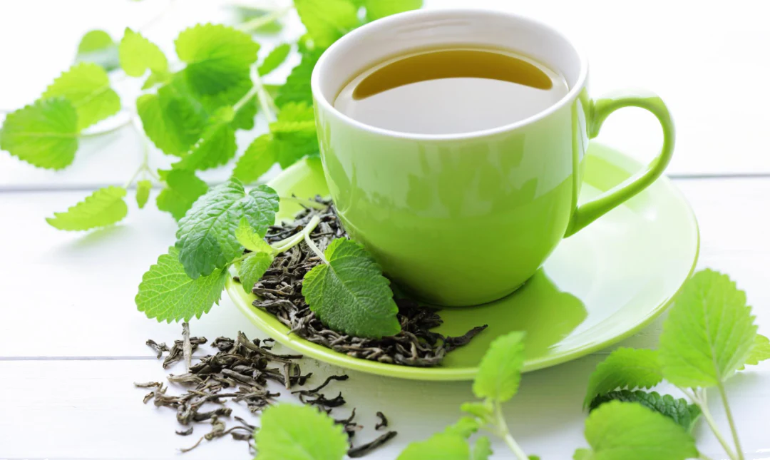 Tulsi Green Tea